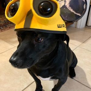 Meet your Posher, Chris